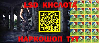 дмт Кимры