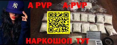 ешки Кингисепп