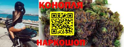 ешки Кингисепп