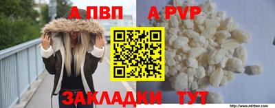 ешки Кингисепп