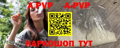 ешки Кингисепп