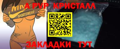 ешки Кингисепп